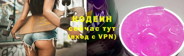 крисы Абаза