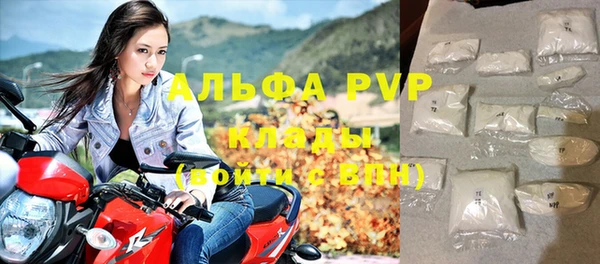 крисы Абаза
