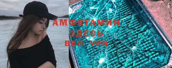 крисы Абаза