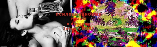 молекула духа Абдулино
