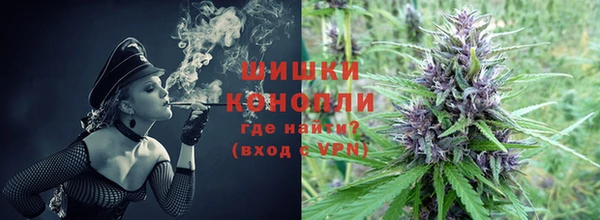 крисы Абаза